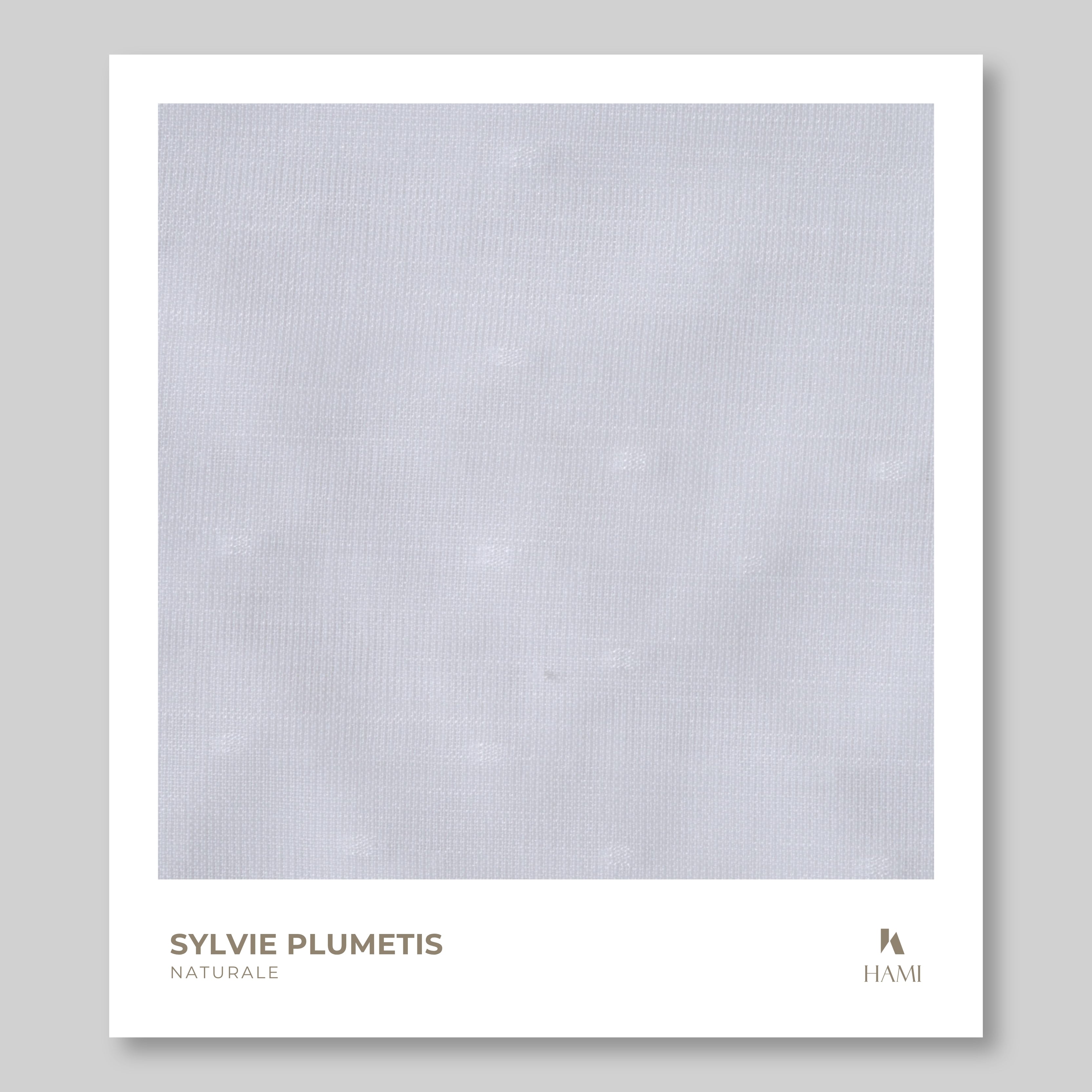Campione Sylvie Plumetis