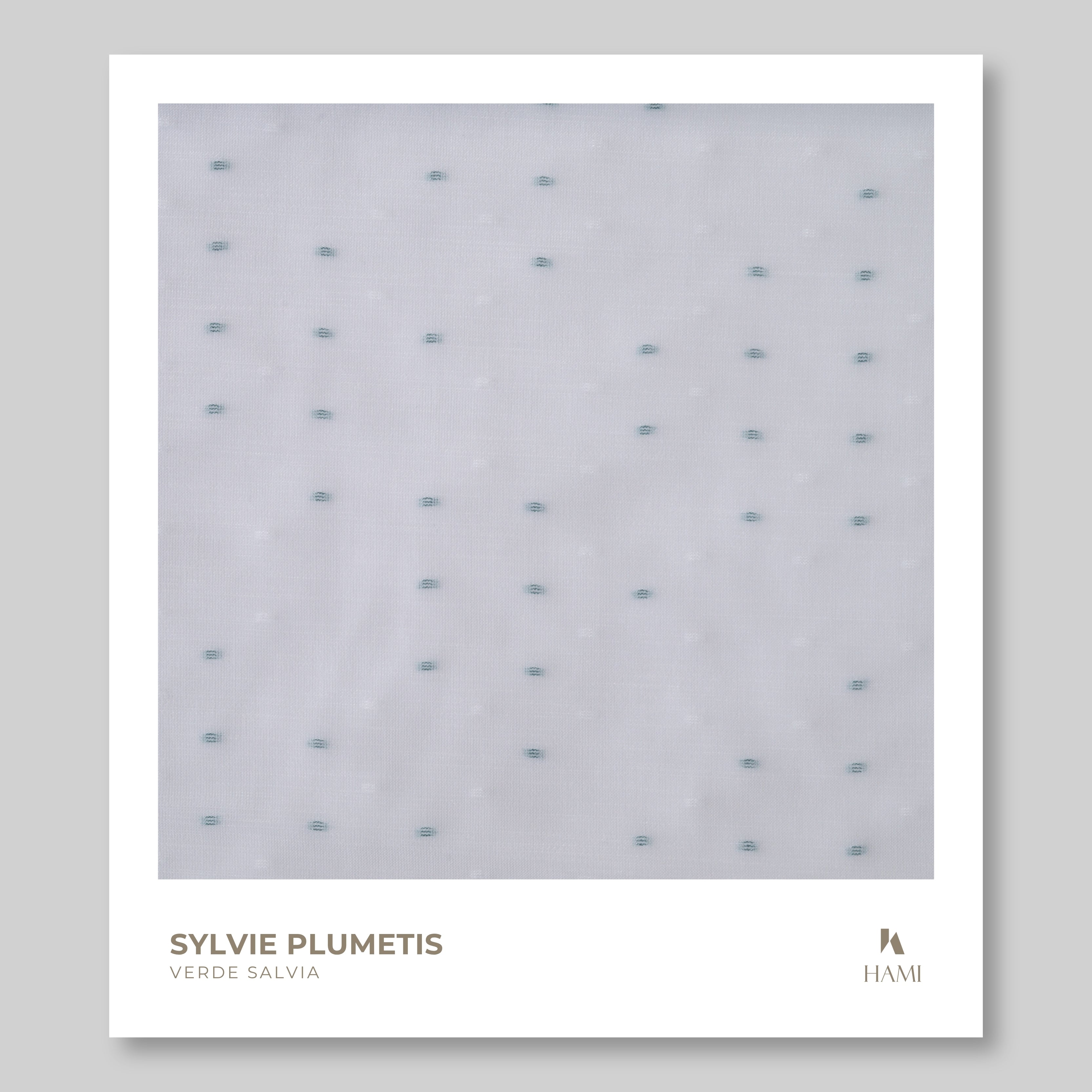 Campione Sylvie Plumetis